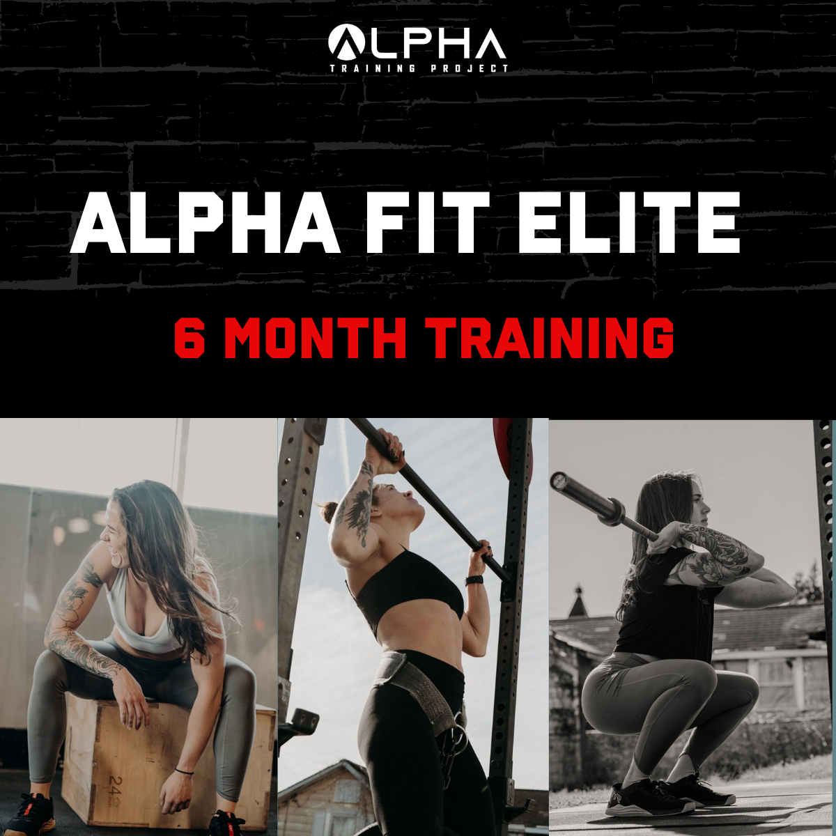 Alpha Fit ELITE - 6 MONTH total transformation package
